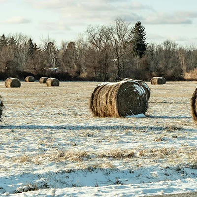 科学上网困境突围：技术、政策与用户策略的全方位解析