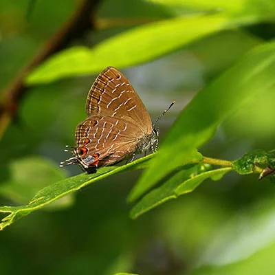 安卓科学上网加速器全攻略：解锁网络自由与隐私保护