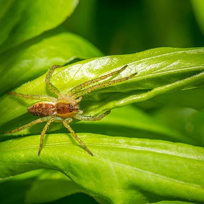 当压力击穿心灵：深度解析与应对现代人的“Clash心态崩溃”现象